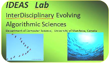 InterDisciplinary Evolving Algorithmic Sciences